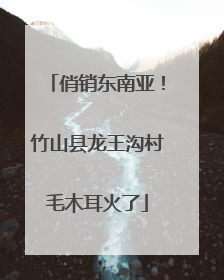 俏销东南亚！竹山县龙王沟村毛木耳火了