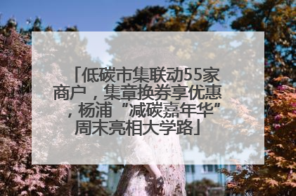 低碳市集联动55家商户，集章换券享优惠，杨浦“减碳嘉年华”周末亮相大学路