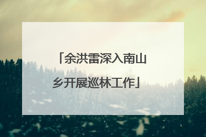 余洪雷深入南山乡开展巡林工作