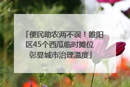 便民助农两不误！睢阳区45个西瓜临时摊位 彰显城市治理温度