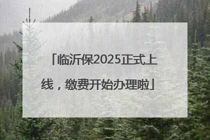 临沂保2025正式上线，缴费开始办理啦