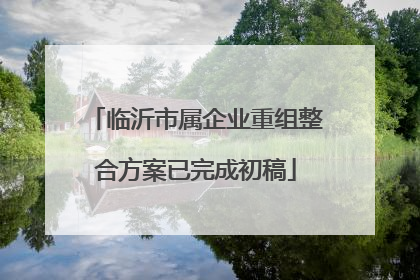 临沂市属企业重组整合方案已完成初稿