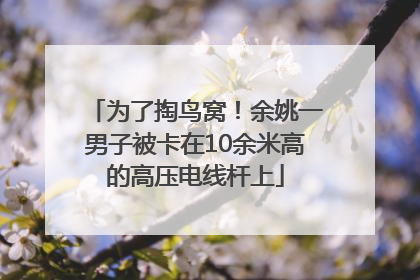 为了掏鸟窝！余姚一男子被卡在10余米高的高压电线杆上