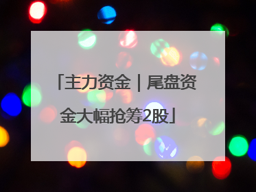 主力资金｜尾盘资金大幅抢筹2股