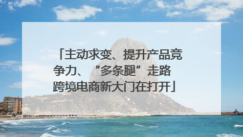 主动求变、提升产品竞争力、“多条腿”走路 跨境电商新大门在打开