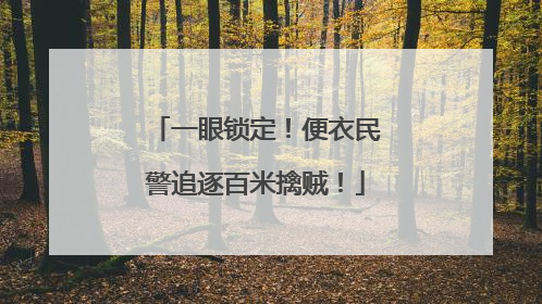 一眼锁定！便衣民警追逐百米擒贼！
