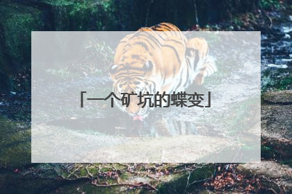 一个矿坑的蝶变