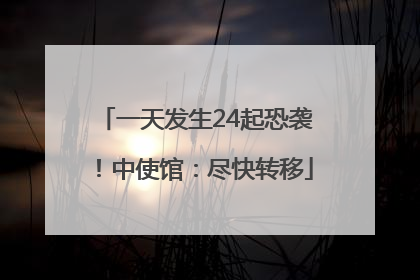 一天发生24起恐袭！中使馆：尽快转移