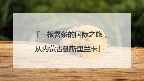 一根薯条的国际之旅，从内蒙古到斯里兰卡