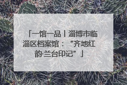 一馆一品丨淄博市临淄区档案馆：“齐地红韵·兰台印记”