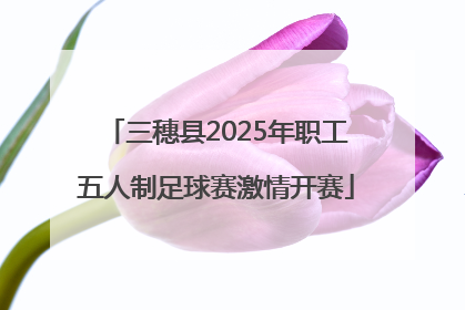 三穗县2025年职工五人制足球赛激情开赛