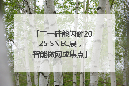 三一硅能闪耀2025 SNEC展，智能微网成焦点