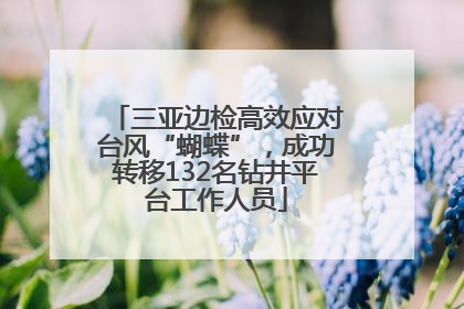 三亚边检高效应对台风“蝴蝶”，成功转移132名钻井平台工作人员