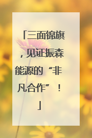 三面锦旗，见证振森能源的“非凡合作”！