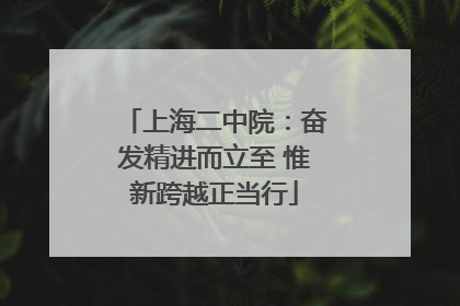 上海二中院：奋发精进而立至 惟新跨越正当行