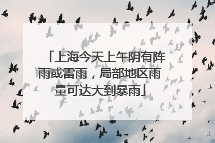 上海今天上午阴有阵雨或雷雨，局部地区雨量可达大到暴雨
