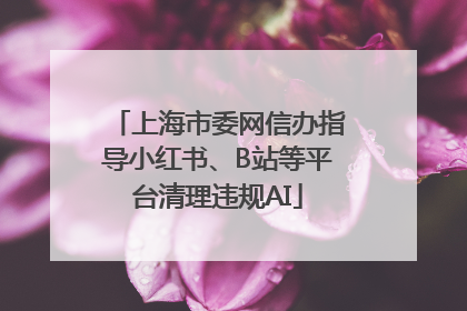 上海市委网信办指导小红书、B站等平台清理违规AI