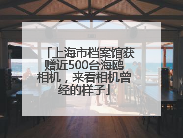 上海市档案馆获赠近500台海鸥相机，来看相机曾经的样子