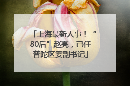 上海最新人事！“80后”赵亮，已任普陀区委副书记