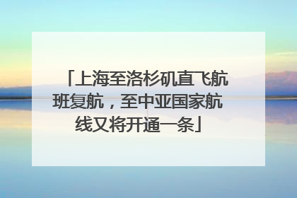 上海至洛杉矶直飞航班复航，至中亚国家航线又将开通一条