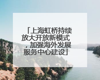 上海虹桥持续放大开放新模式，加强海外发展服务中心建设