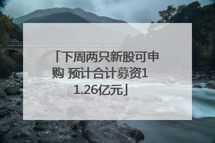 下周两只新股可申购 预计合计募资11.26亿元