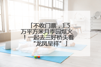 不收门票，1.5万平方米月季园爆火！一起去三好桥头看“龙凤呈祥”