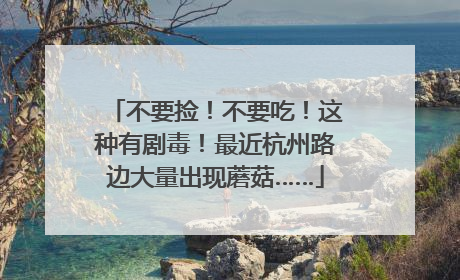 不要捡！不要吃！这种有剧毒！最近杭州路边大量出现蘑菇……