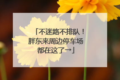 不迷路不排队！胖东来周边停车场都在这了→