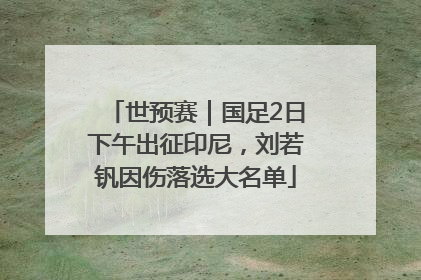 世预赛｜国足2日下午出征印尼，刘若钒因伤落选大名单