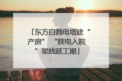 东方白鹳电塔建“产房” “陕电入皖”架线延工期