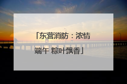东营消防：浓情端午 粽叶飘香