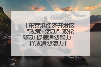 东营港经济开发区“政策+活动”双轮驱动 提振消费能力 释放消费潜力