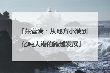 东营港：从地方小港到亿吨大港的跨越发展