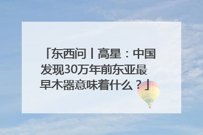 东西问丨高星：中国发现30万年前东亚最早木器意味着什么？