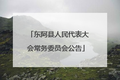 东阿县人民代表大会常务委员会公告