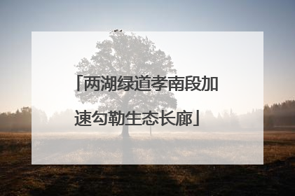两湖绿道孝南段加速勾勒生态长廊