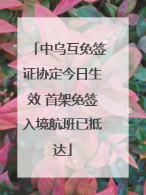 中乌互免签证协定今日生效 首架免签入境航班已抵达
