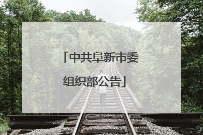 中共阜新市委组织部公告