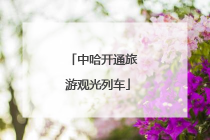 中哈开通旅游观光列车
