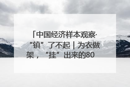 中国经济样本观察·“镇”了不起｜为衣做架，“挂”出来的80亿元“衣架产业”