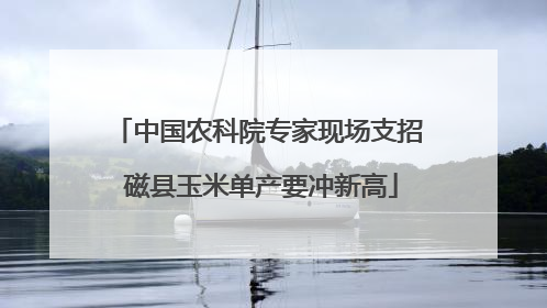 中国农科院专家现场支招 磁县玉米单产要冲新高