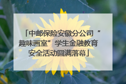中邮保险安徽分公司“趣味画室”学生金融教育安全活动圆满落幕