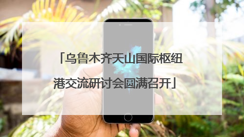 乌鲁木齐天山国际枢纽港交流研讨会圆满召开