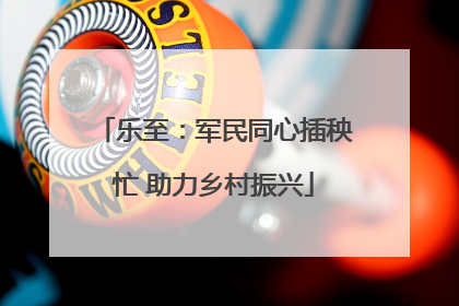 乐至：军民同心插秧忙 助力乡村振兴