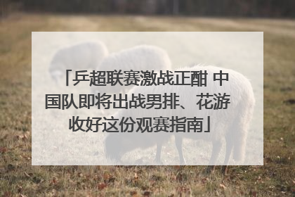 乒超联赛激战正酣 中国队即将出战男排、花游 收好这份观赛指南