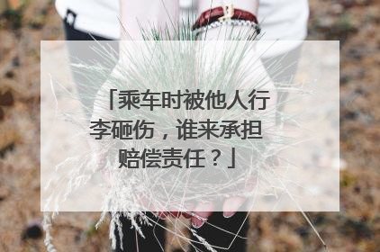 乘车时被他人行李砸伤，谁来承担赔偿责任？