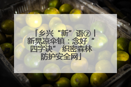 乡兴“新”语②丨新晃凉伞镇：念好“四字诀” 织密森林防护安全网