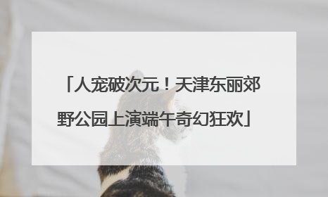 人宠破次元！天津东丽郊野公园上演端午奇幻狂欢