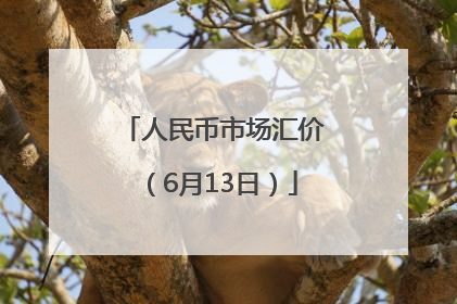 人民币市场汇价（6月13日）